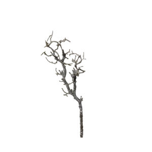 Lassen Sie Ihrer Kreativität freien Lauf, indem Sie den Kunstast Verzweigt in Grau als dekoratives Element in Wohnräumen, Büros oder anderen Bereichen einsetzen.